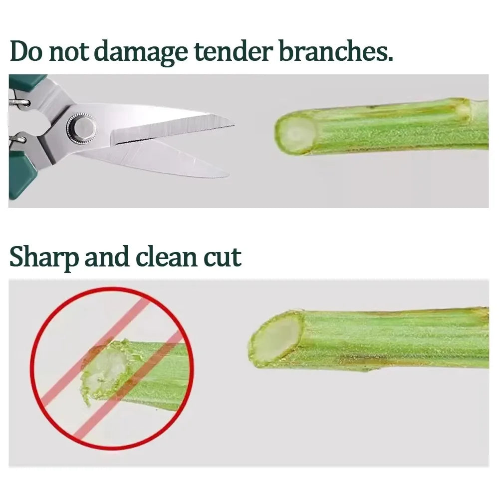 1/2PCS Straight Head Pruning Shears Non-slip HandleStainless Steel Outils Manuels Household Bonsai Garden Scissors Pruing Shear