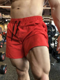 Men Sport Shorts Summer Sportswear Beach Jogging Short Pants Training Shorts Men Basketball Clothing Gym Fitness Running Bottoms - PrimeNest
