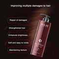 Zhangguang 101 Anti Hair Loss Hair Shedding Proof Shampoo 360g Ginger Nourishing Hair Conditioner Set Chinese HERBAL - PrimeNest